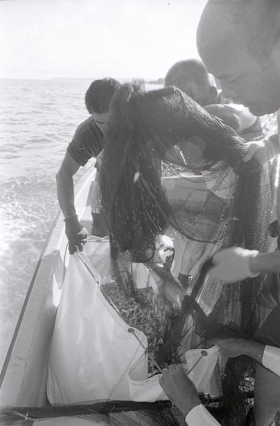 11-116-0031 11-116-0031