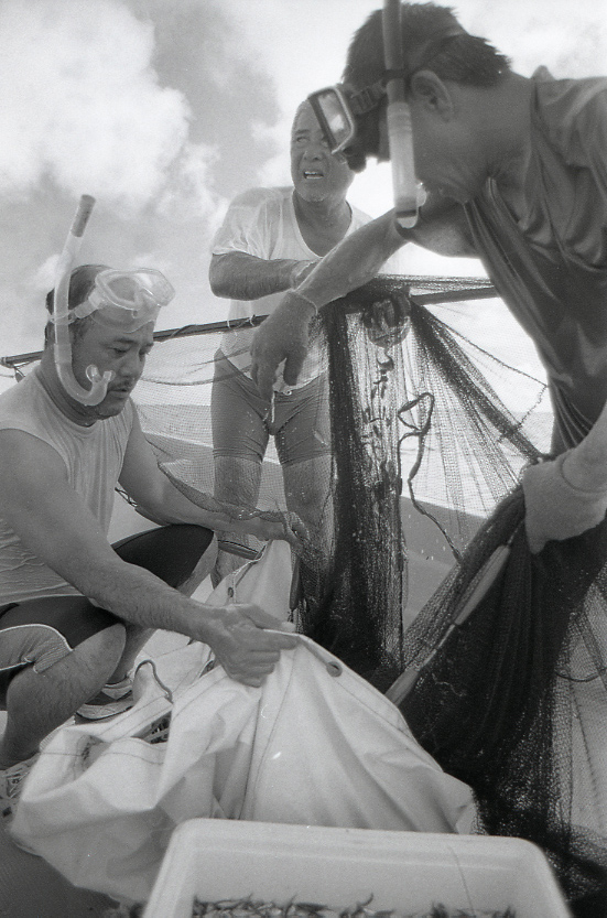 11-117-0001 11-117-0001