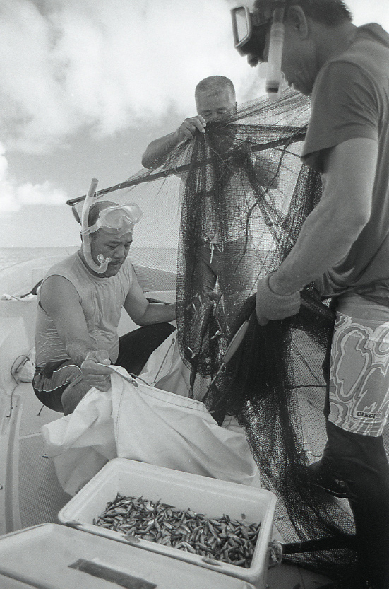 11-117-0002 11-117-0002