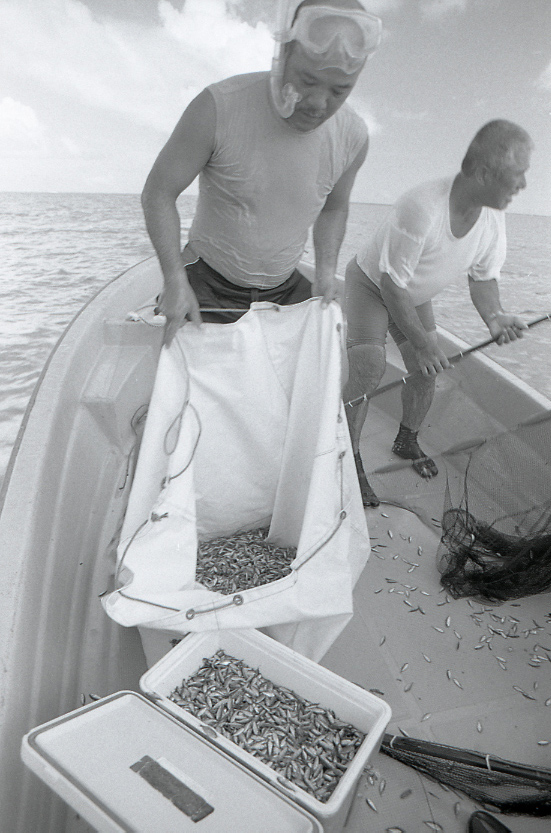 11-117-0006 11-117-0006