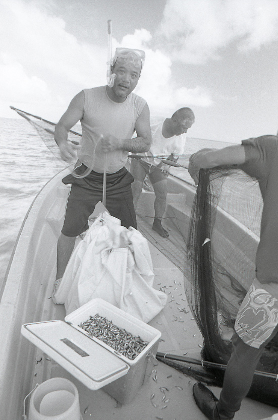 11-117-0007 11-117-0007