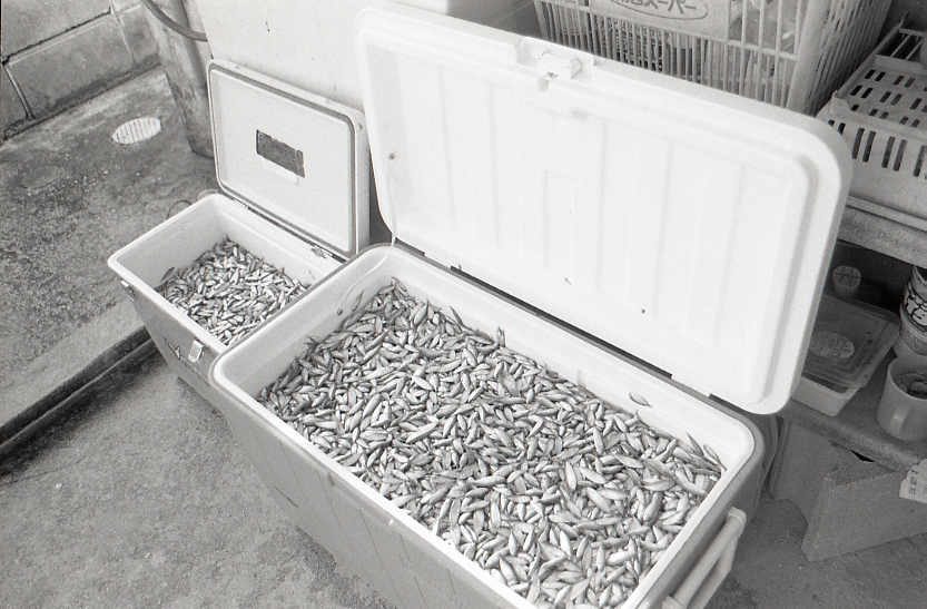 11-117-0024 11-117-0024