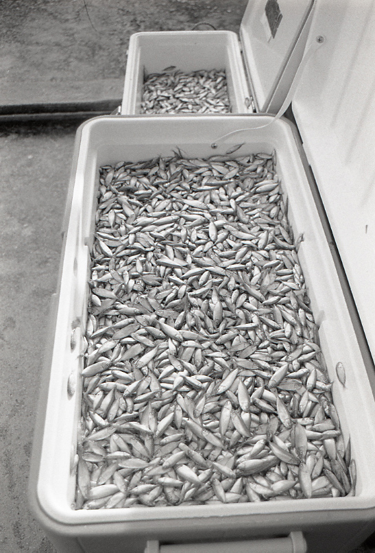 11-117-0025 11-117-0025