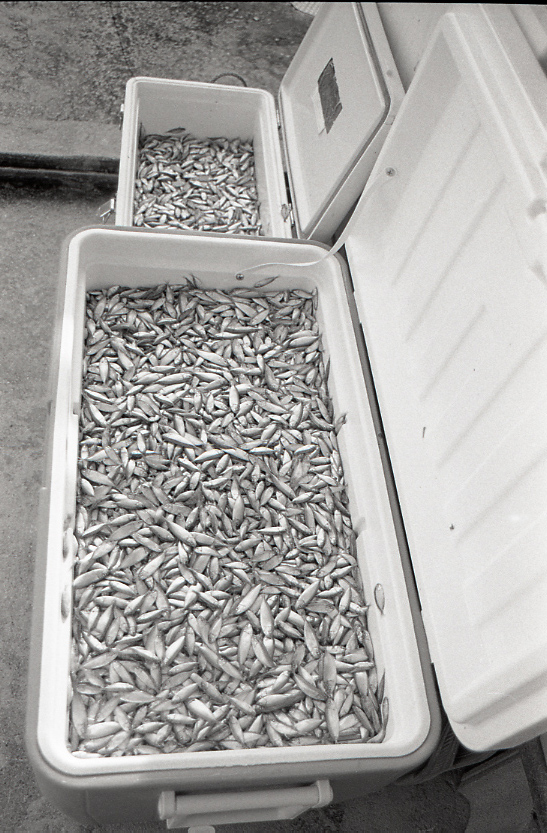 11-117-0026 11-117-0026