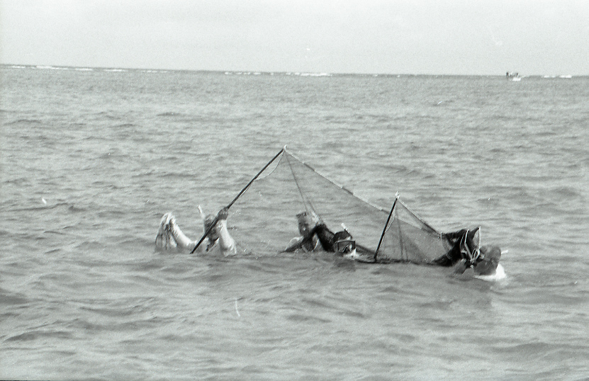 11-118-0002 11-118-0002