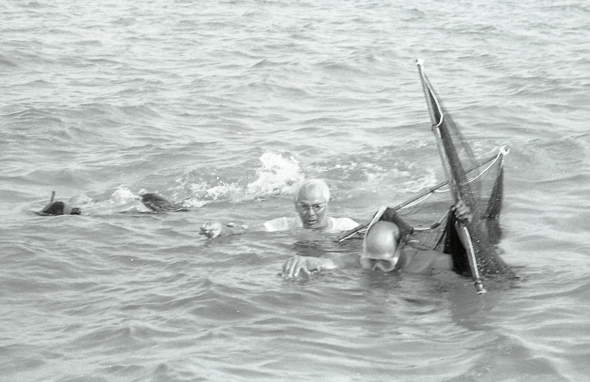 11-118-0004 11-118-0004