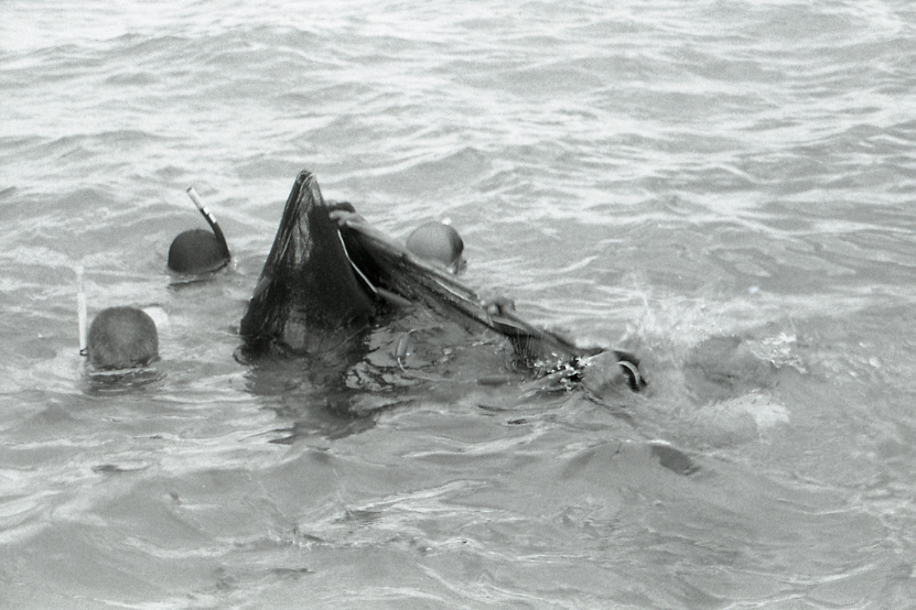 11-118-0010 11-118-0010