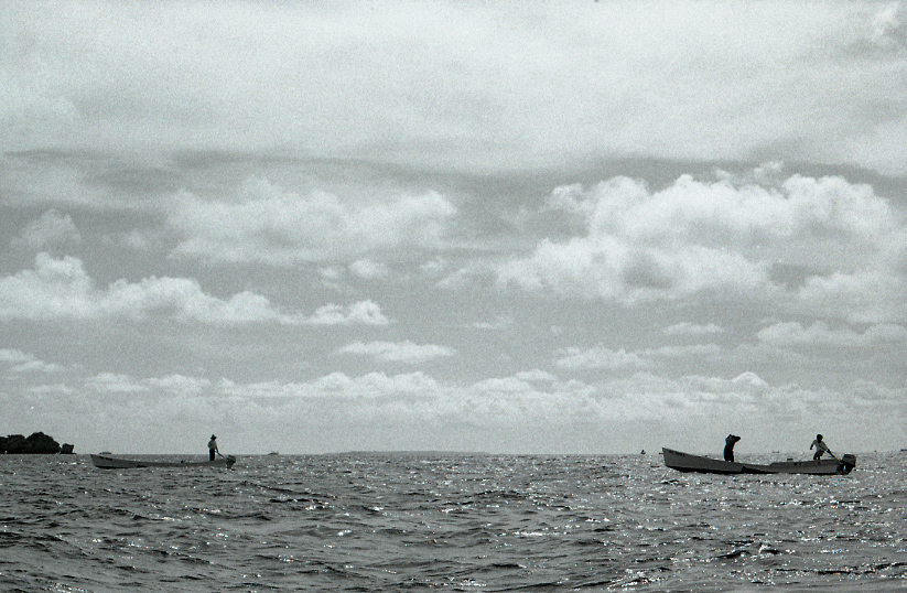 11-118-0016 11-118-0016