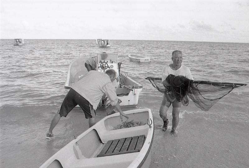 11-119-0001 11-119-0001