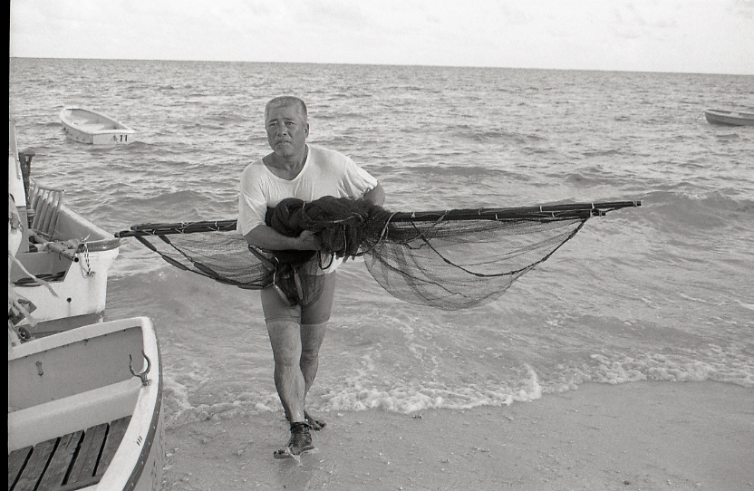 11-119-0002 11-119-0002