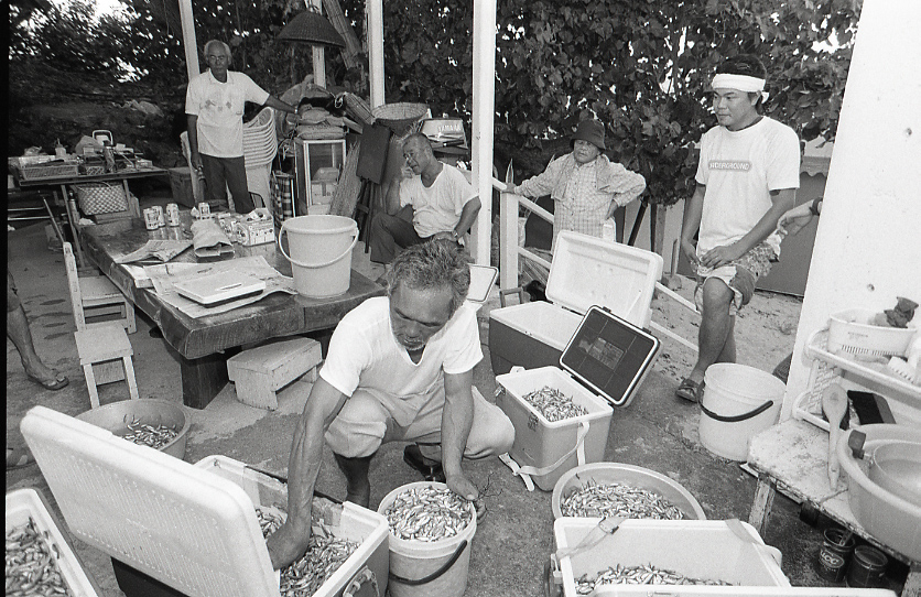 11-119-0005 11-119-0005