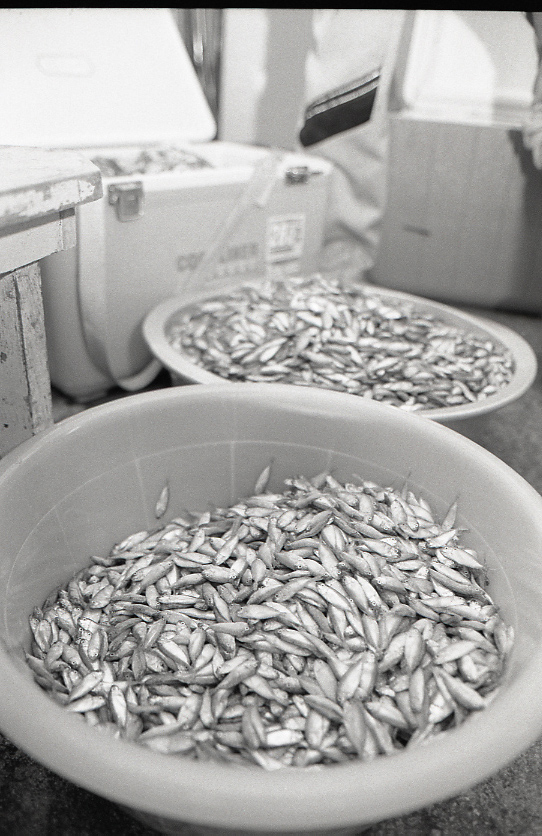 11-119-0006 11-119-0006