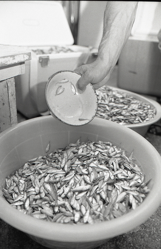 11-119-0007 11-119-0007