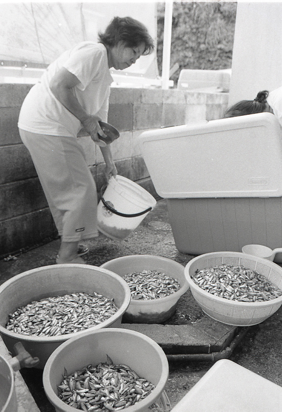 11-120-0001 11-120-0001