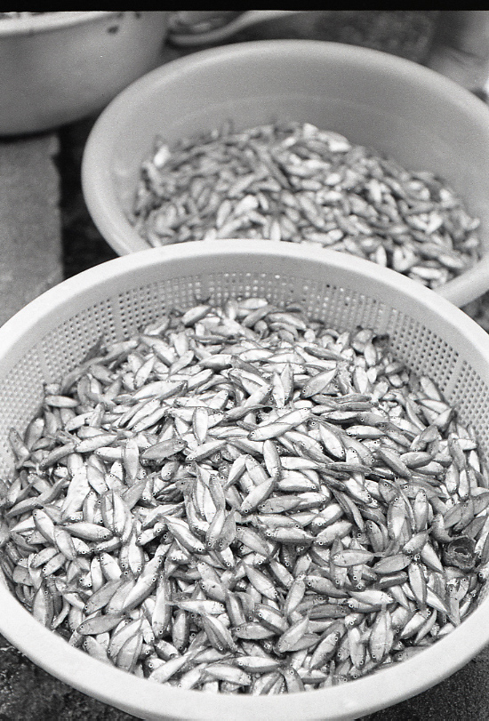 11-120-0002 11-120-0002