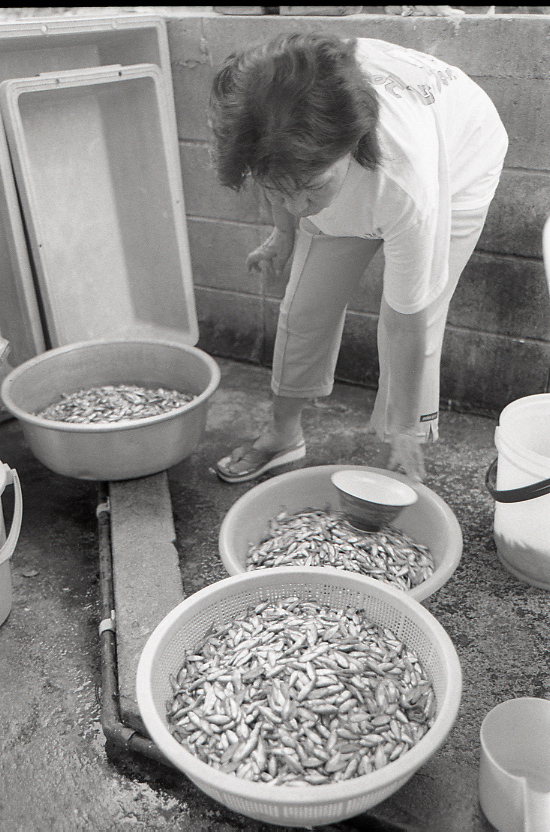 11-120-0003 11-120-0003