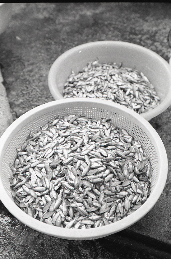 11-120-0004 11-120-0004