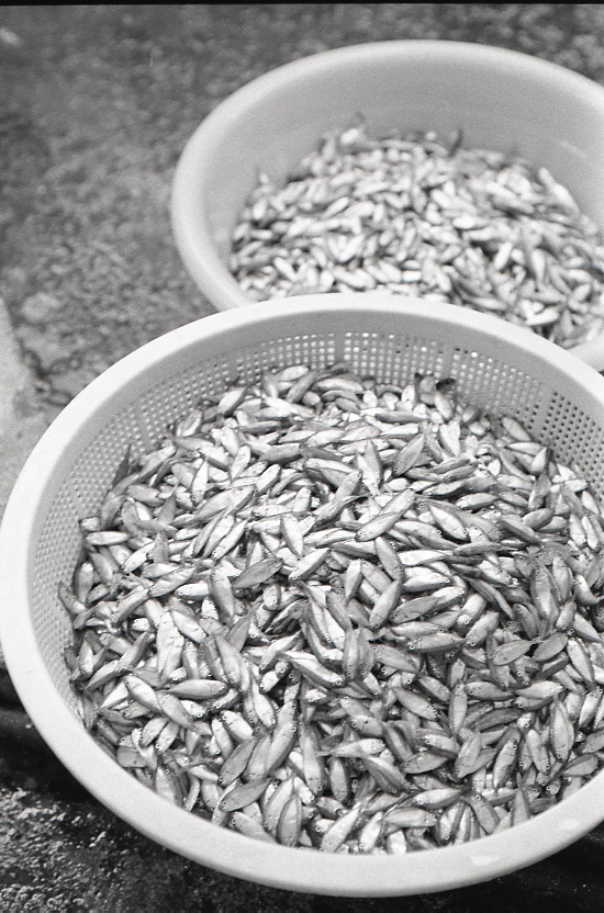 11-120-0005 11-120-0005