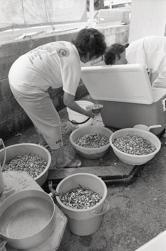 11-120-0006 11-120-0006