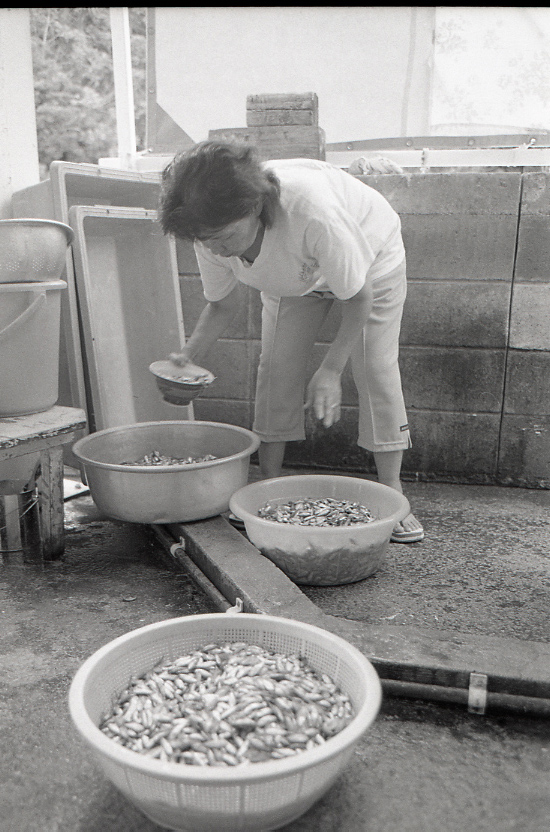 11-120-0008 11-120-0008