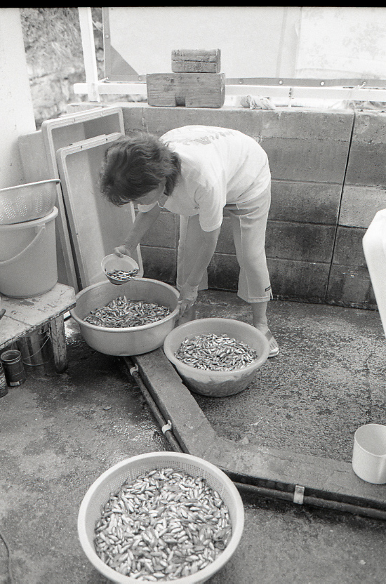 11-120-0009 11-120-0009