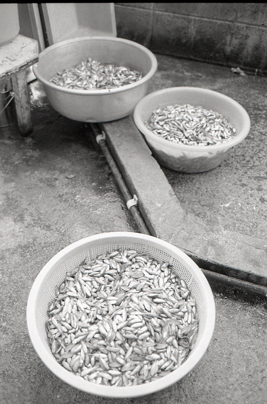 11-120-0010 11-120-0010