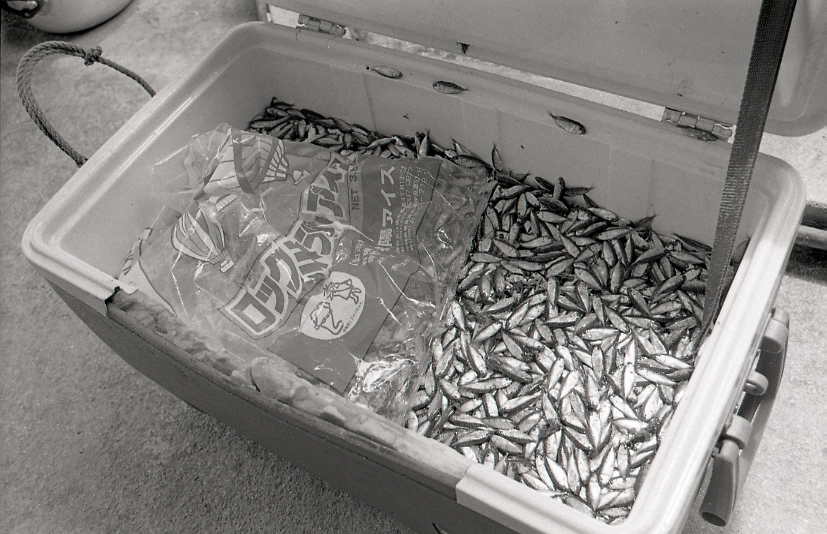 11-125-0003 11-125-0003