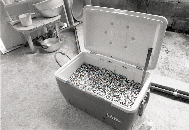 11-125-0004 11-125-0004