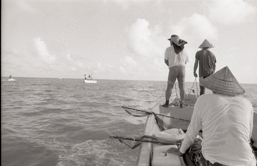 11-126-0002 11-126-0002