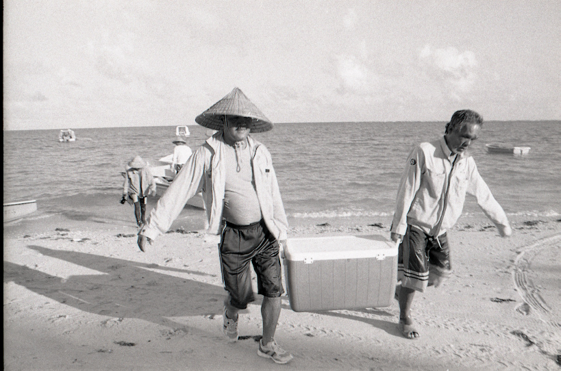 11-126-0008 11-126-0008