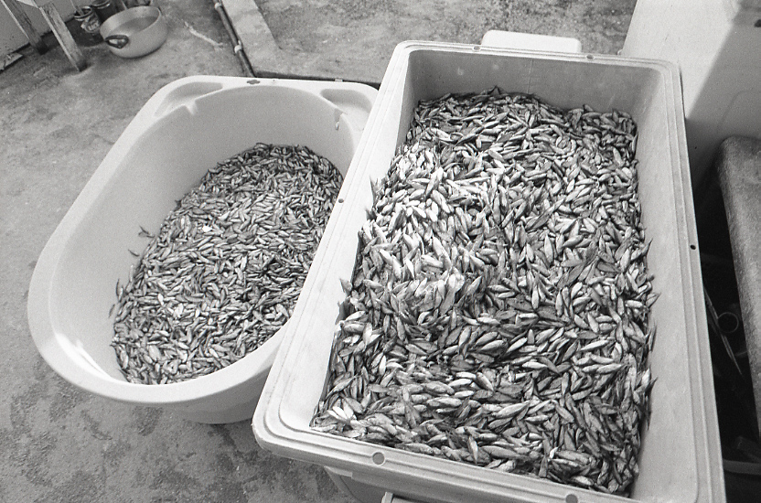 11-126-0012 11-126-0012