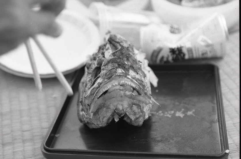 12-022-0002 12-022-0002