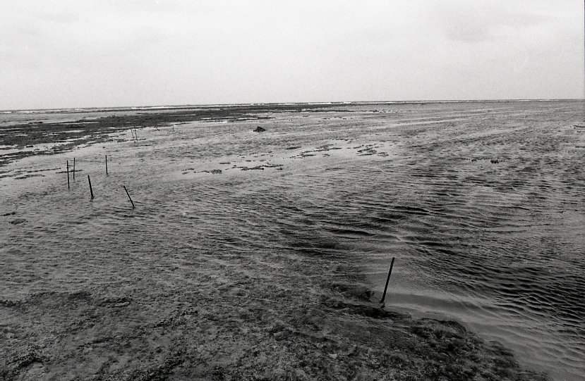 12-027-0008 12-027-0008