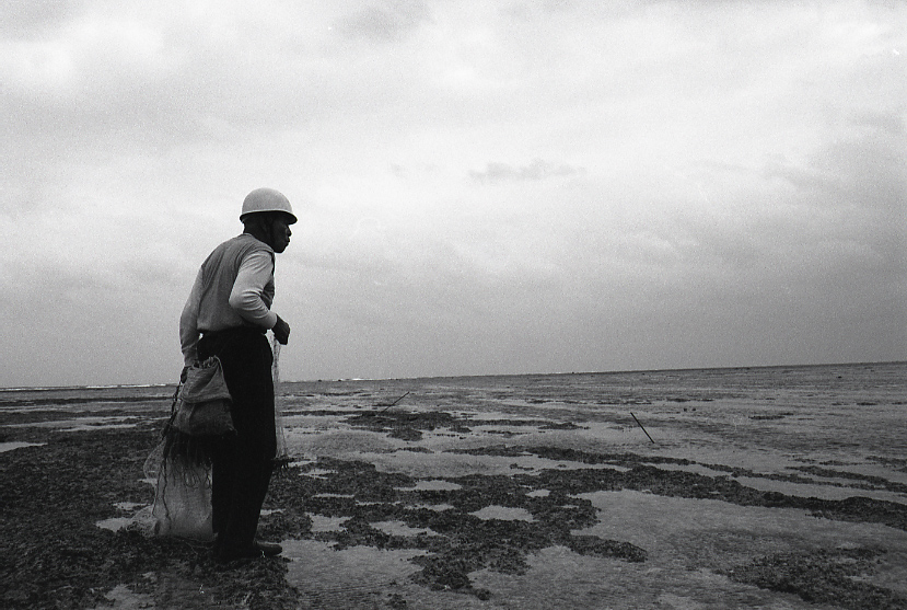 12-027-0010 12-027-0010