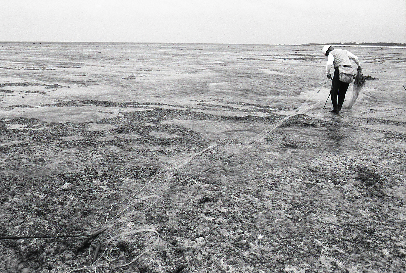 12-027-0011 12-027-0011