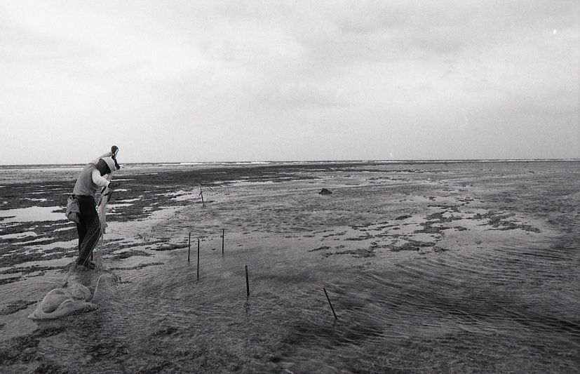 12-027-0012 12-027-0012