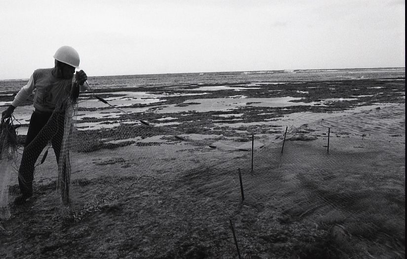 12-027-0013 12-027-0013