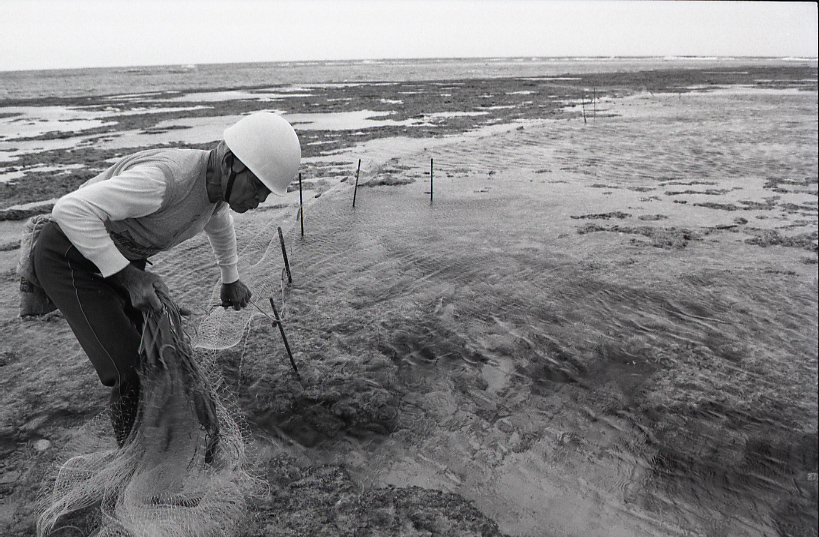 12-027-0015 12-027-0015