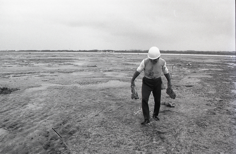 12-029-0001 12-029-0001