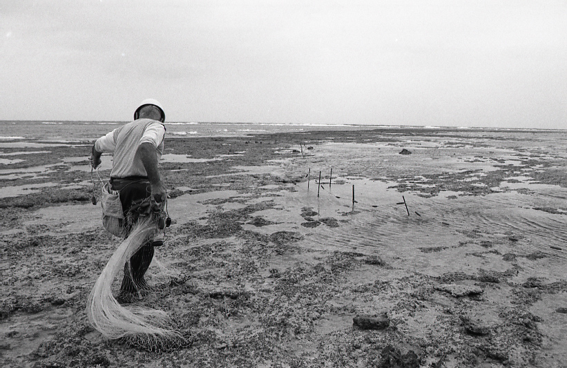 12-029-0004 12-029-0004