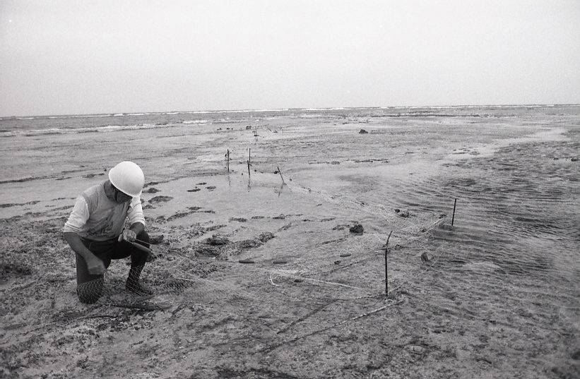 12-029-0006 12-029-0006