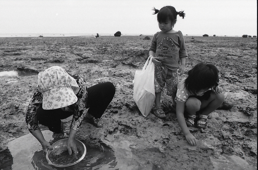 12-038-0001 12-038-0001