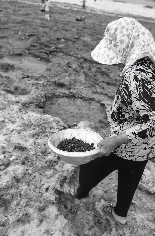 12-038-0002 12-038-0002