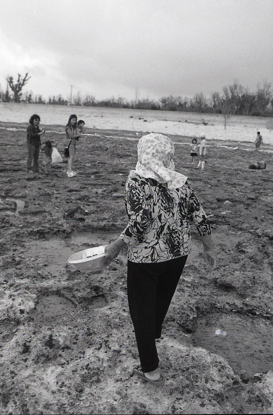 12-038-0003 12-038-0003