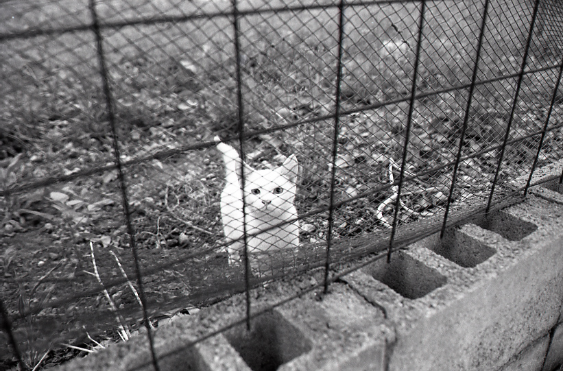 12-038-0006 12-038-0006