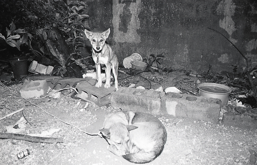 14-162-0002 14-162-0002