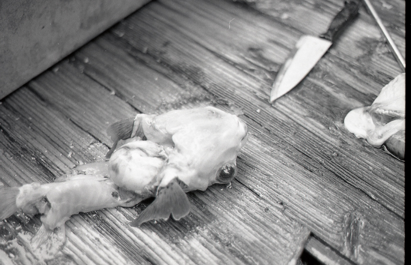 14-162-0004 14-162-0004