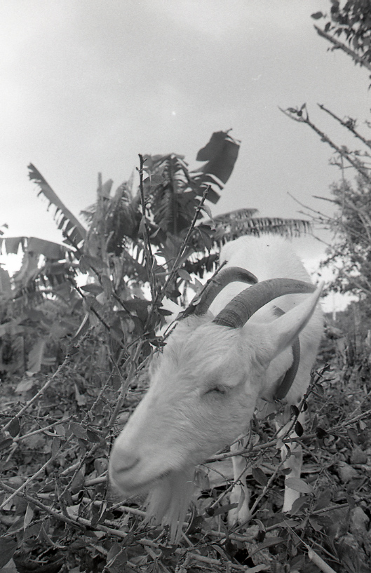 14-165-0002 14-165-0002