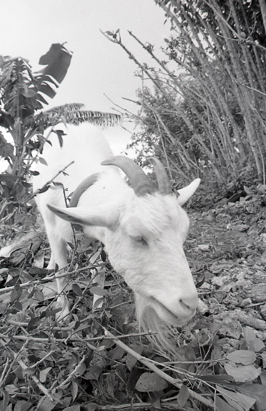 14-165-0003 14-165-0003