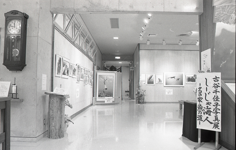 14-166-0001 14-166-0001